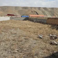 زمین ویلایی|فروش خانه و ویلا|صوفیان, |دیوار