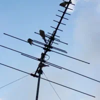 نصب و نصاب آنتن