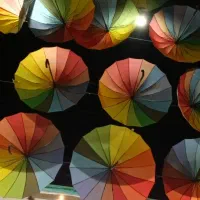 استخدام نیروی خانم آشنا به سایت و سئو و اینستا