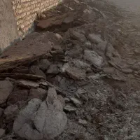 کود گوسفندی