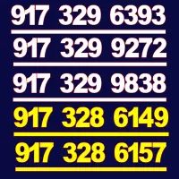 917.329.6393