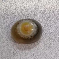 باباقوری طبیعی (  کلکسیون )