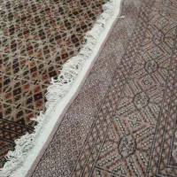 فرش دست باف ۶ متری ترکمن|فرش|رشت, معلم|دیوار