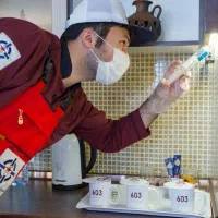 سمپاشی انواع سوسک ساس موریانه موش 100% تضمینی