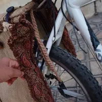 خورجین دوچرخه|دوچرخه، اسکیت، اسکوتر|شیراز, فخرآباد (دروازه کازرون)|دیوار