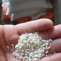 فروش برنج هاشمی نیم دانه|خوردنی و آشامیدنی|توتکابن, |دیوار