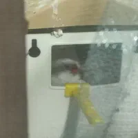 پرنده|پرنده|سلطانیه, |دیوار