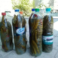 خیارشور خانگی