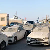 ترخیص کار / ترخیص کالا از گمرک بوشهر|خدمات حمل و نقل|تهران, بازار|دیوار