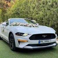 اجاره ماشین عروس فورد موستانگ ۲۰۲۲