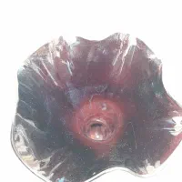 گدان شیشه ای|گل مصنوعی|دورود, |دیوار