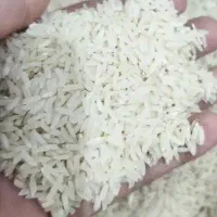 برنج ایرانی درجه ۱|خوردنی و آشامیدنی|شهریار, شهریار|دیوار