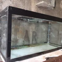 اکواریوم خیلی بزرگ مانستر