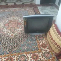 تلویزیون سالم سالم ۲۹ اینچ|تلویزیون و پروژکتور|میناب, |دیوار