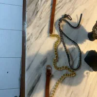 کمربند|کیف، کفش، کمربند|مشهد, هنرستان|دیوار