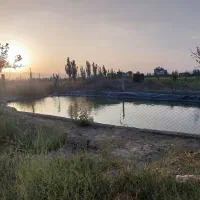 باغ در مرند