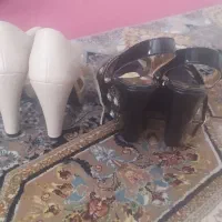 کفش مجلسی