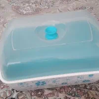 ظرف نگهدارنده