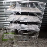 قفس|لوازم جانبی حیوانات|کرمان, |دیوار