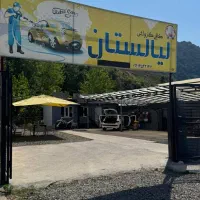 نیروی کار در کارواش