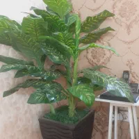 تعداد سه عدد درختچه گل  مصنوعی و یک عدد کمد لباس