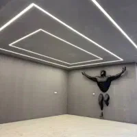 چراغ لاین نوری ( لاینر)