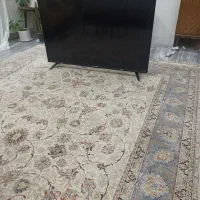 تلویزیون اسنوا 55اینج در حد اک کلا یک ماه باز شده