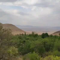 زمین کشاورزی