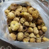 انجیر دیمه امسال، ۳۵۰ هزار