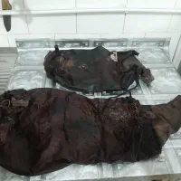 مشک دوغ سالم|ظروف نگهدارنده، پلاستیکی، یک‌بارمصرف|خمینی‌شهر, |دیوار