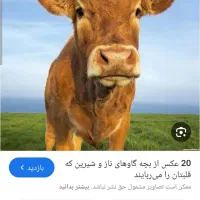 سلام فروش فوری به علت نیاز