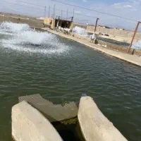 پرورش ماهی ده تنی فروشی|فروش دفتر صنعتی، کشاورزی، تجاری|ورزنه, |دیوار