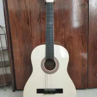 گیتار مکسین فقط دکوری استفاده شده