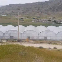 خرید و فروش گلخانه|خدمات پیشه و مهارت|شهرضا, |دیوار