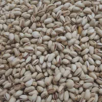 پسته خشک|خوردنی و آشامیدنی|سده (خراسان جنوبی), |دیوار