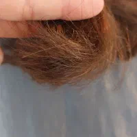 موخوره گیری ب سبک روسی