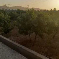 فروش خانه ویلایی ۷۵۰ متری ۱ خوابه در جلال آباد|فروش خانه و ویلا|نجف‌آباد, جلال آباد|دیوار
