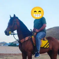اسب عرب دوسر مدارک کامل