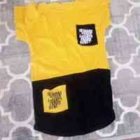 سویشرت پیراهن تی شرت|لباس|رشت, پیرکلاچای|دیوار