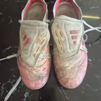 استوک فوتبال پردیتور