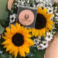 پنکک لاکچری کوین