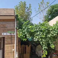 سوله 250 متری خاتون آباد|اجارهٔ دفتر صنعتی، کشاورزی، تجاری|پاکدشت, خاتون آباد|دیوار