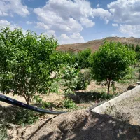 پیش-فروش-آپارتمان-انصاریه
