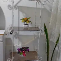 ویترین جای گل