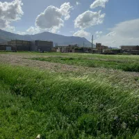 زمین چغابدار نود متری پایین
