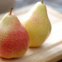 پیش فروش نهال گلابی فورل لیبل دار