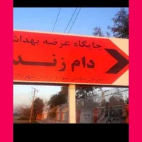 گوسفند نرینه ششماه میش قوچ شیشک کاور بزغاله و.خونی|حیوانات مزرعه|مشهد, توس (بلوار توس)|دیوار