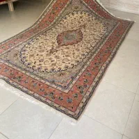 تک‌۶ متری یزد گوشتدار و سالم