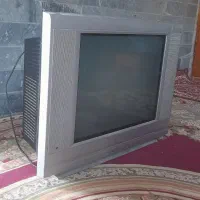 تلویزیون