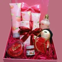 پک ولنتاین/اقساطی /آداس اقساط